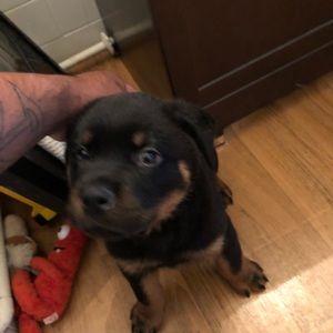 Meet your Posher, Alejandro